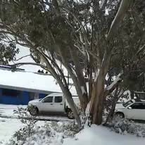 Lake mountain and chocolate tour