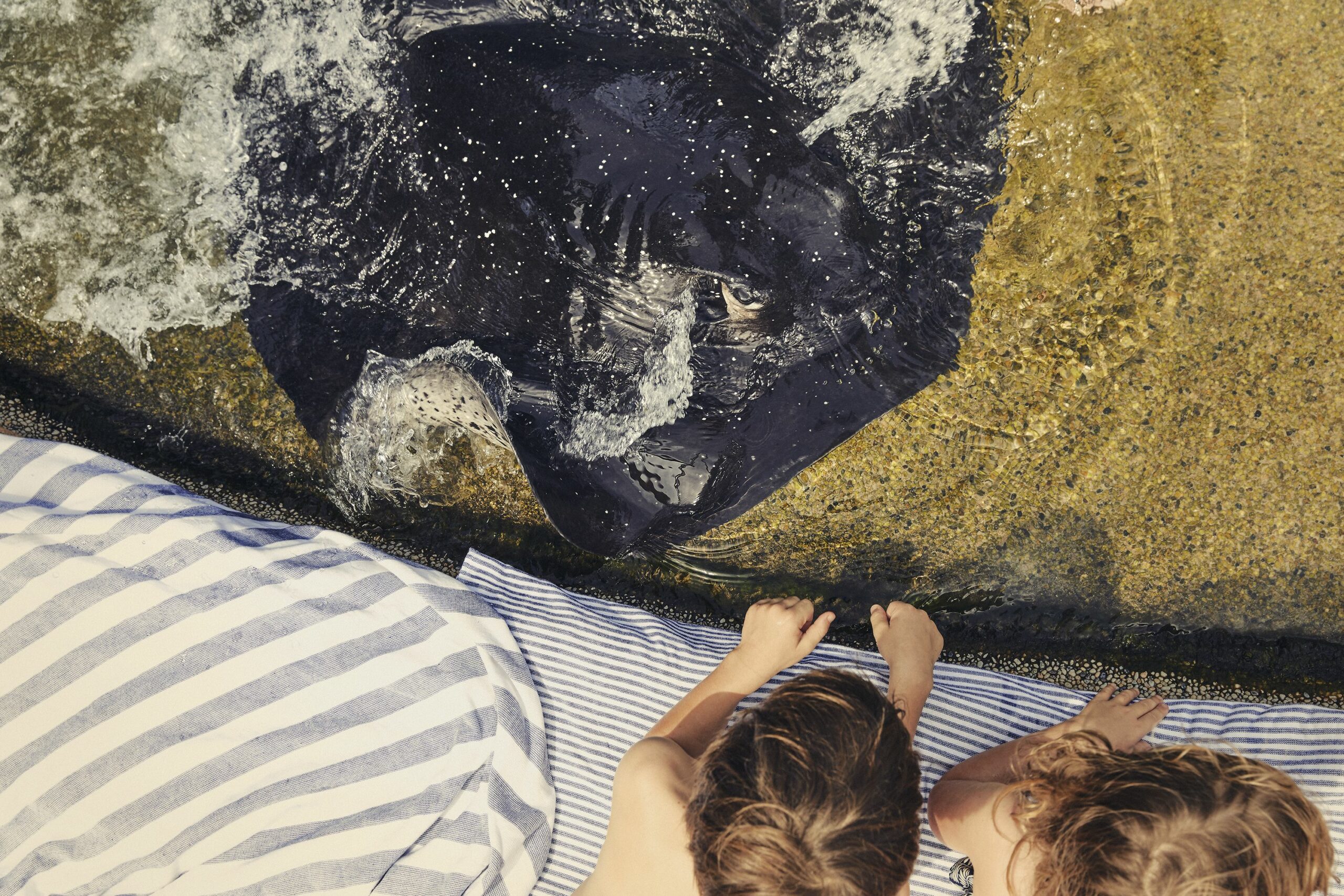 Daydream Island Resort