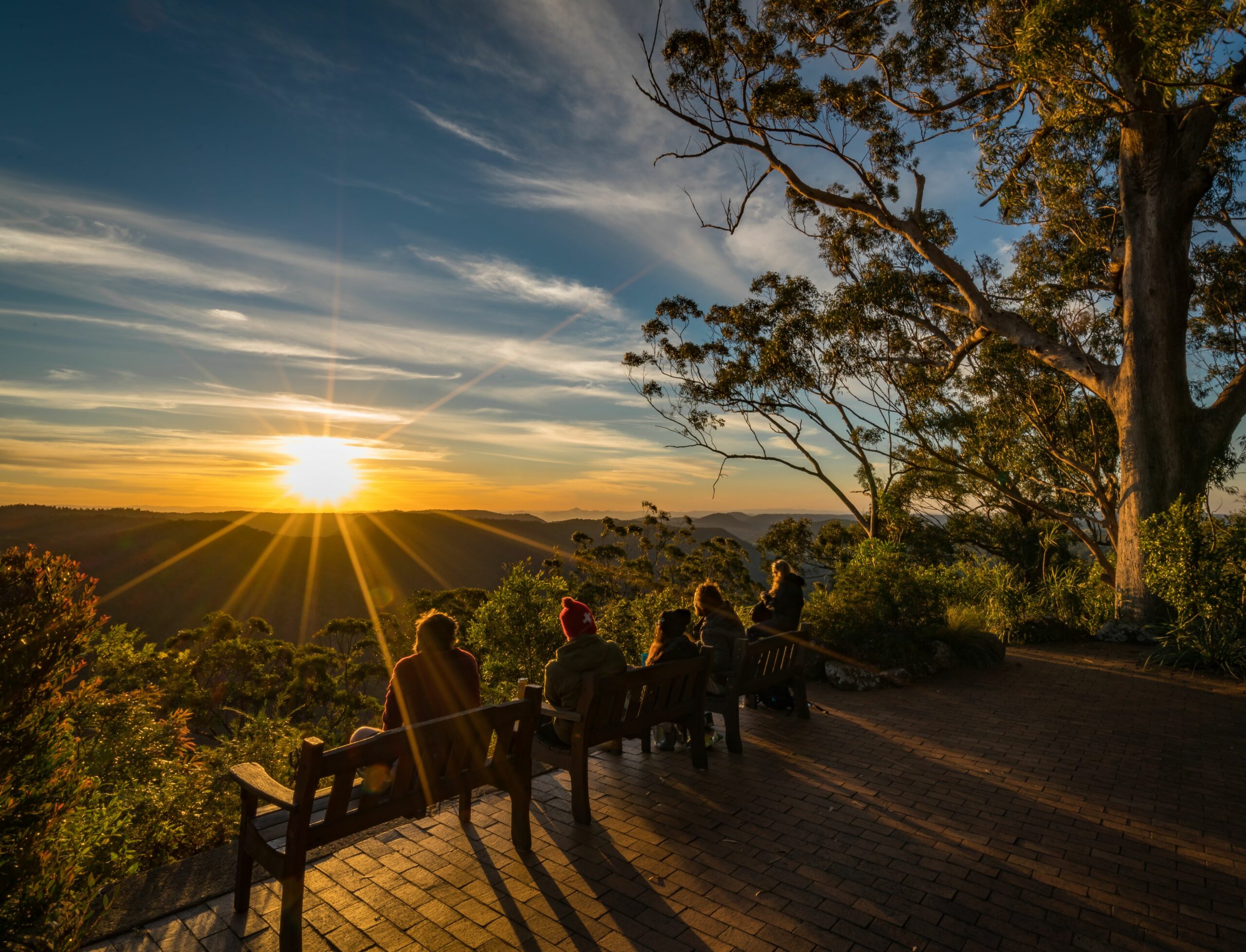 Binna Burra Sky Lodges