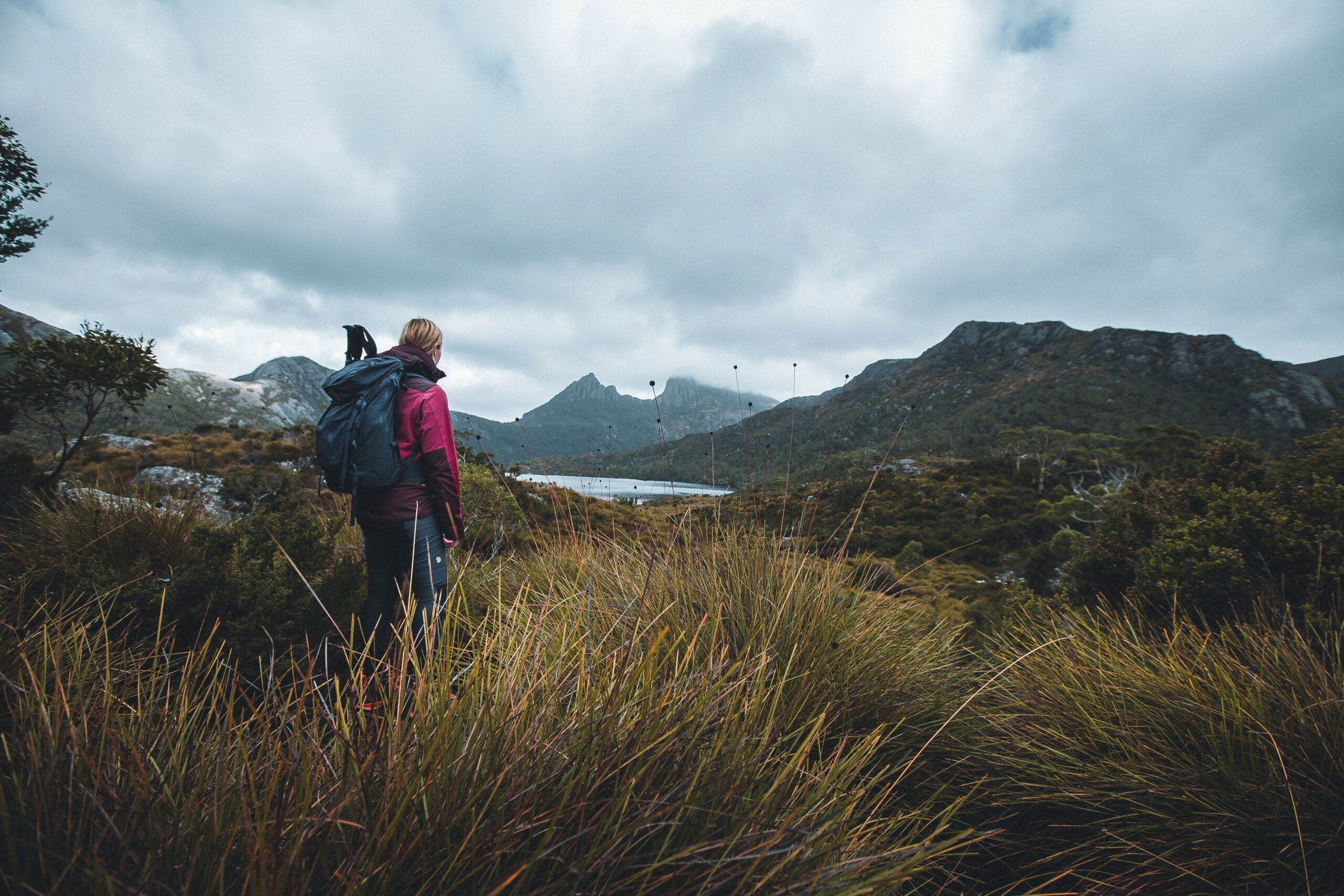 Dove Lake Half Day Tour