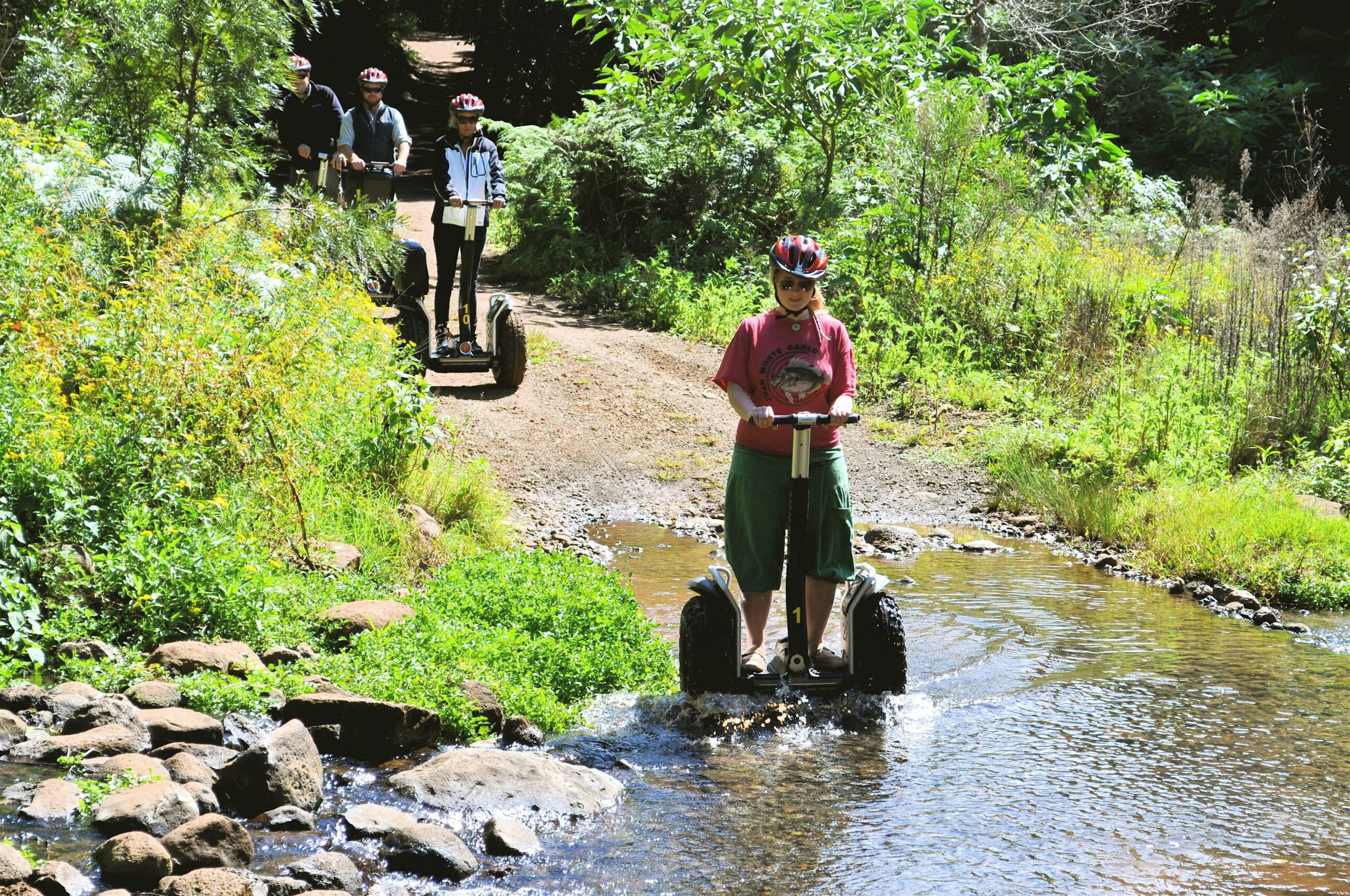 O'Reilly's Rainforest Retreat