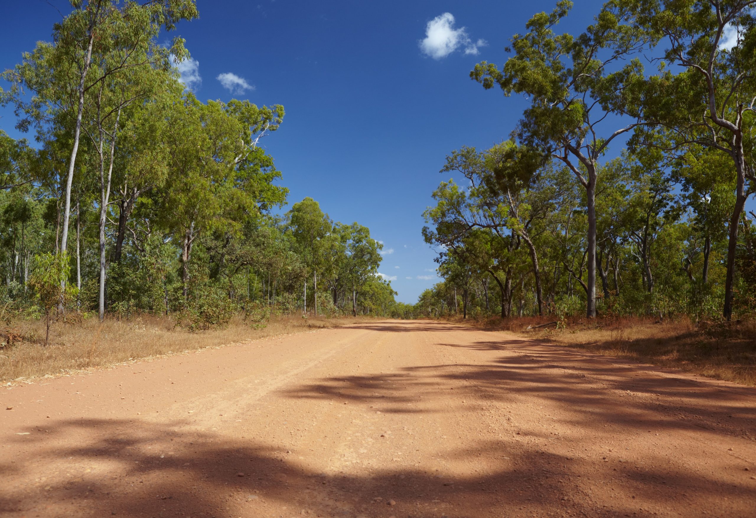 Cape York Peninsula, Cape York, QLD