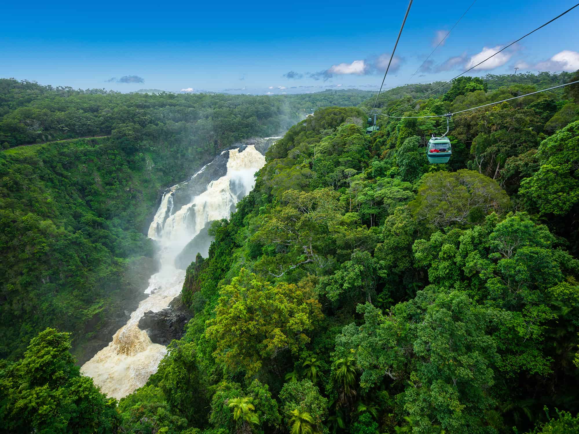 Skyrail Rainforest Cableway