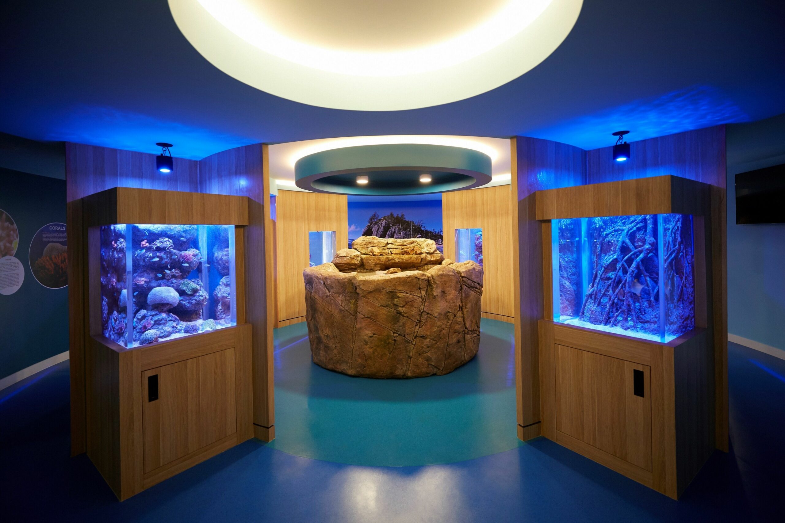 Daydream Island Resort