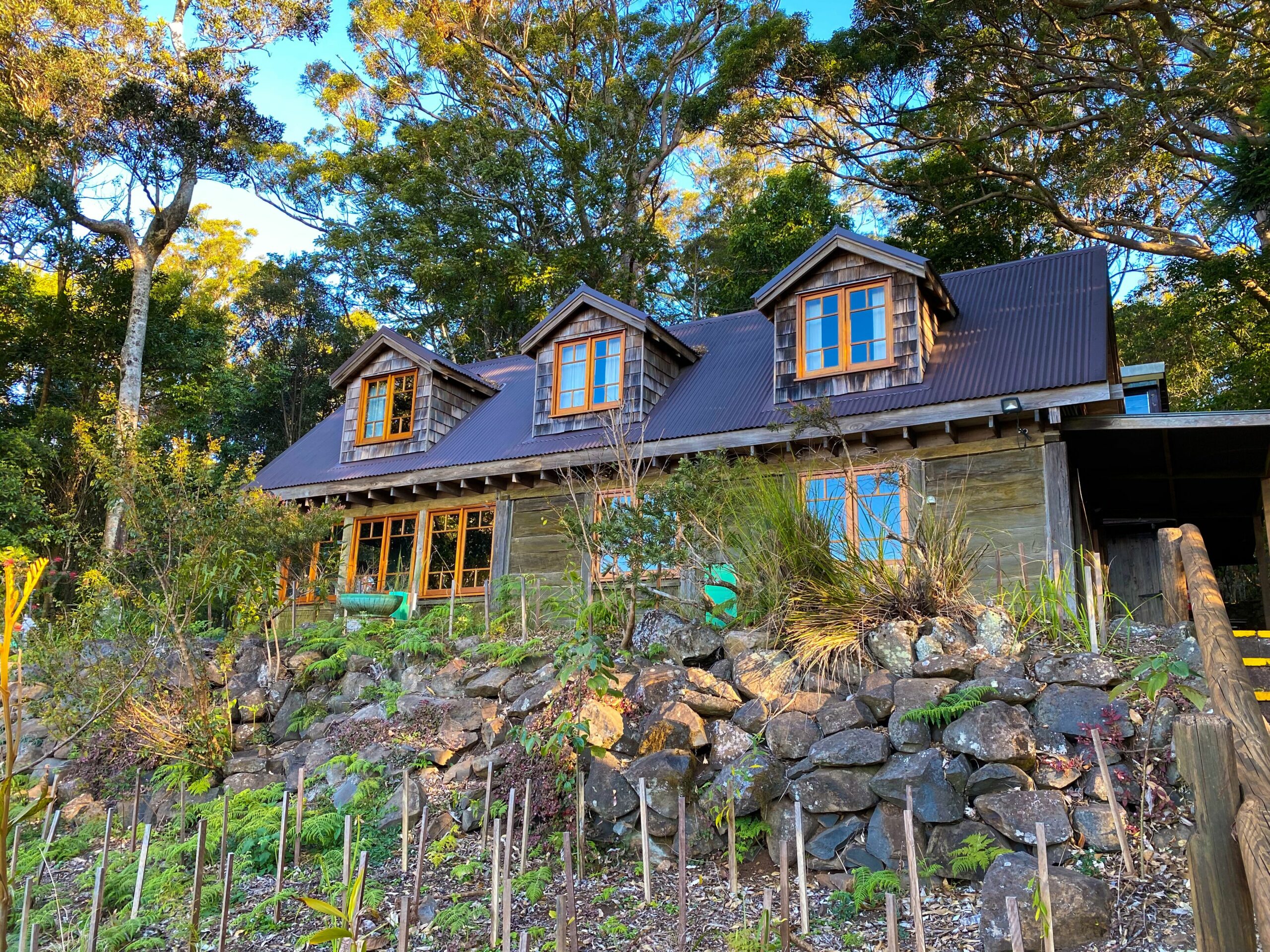 Binna Burra Rainforest Campsite