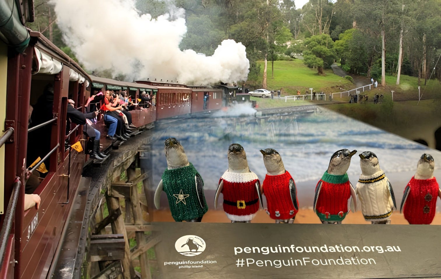 Viator – Small Bus Private Puffing Billy and Phillip Island Tours (up to 13 pax)