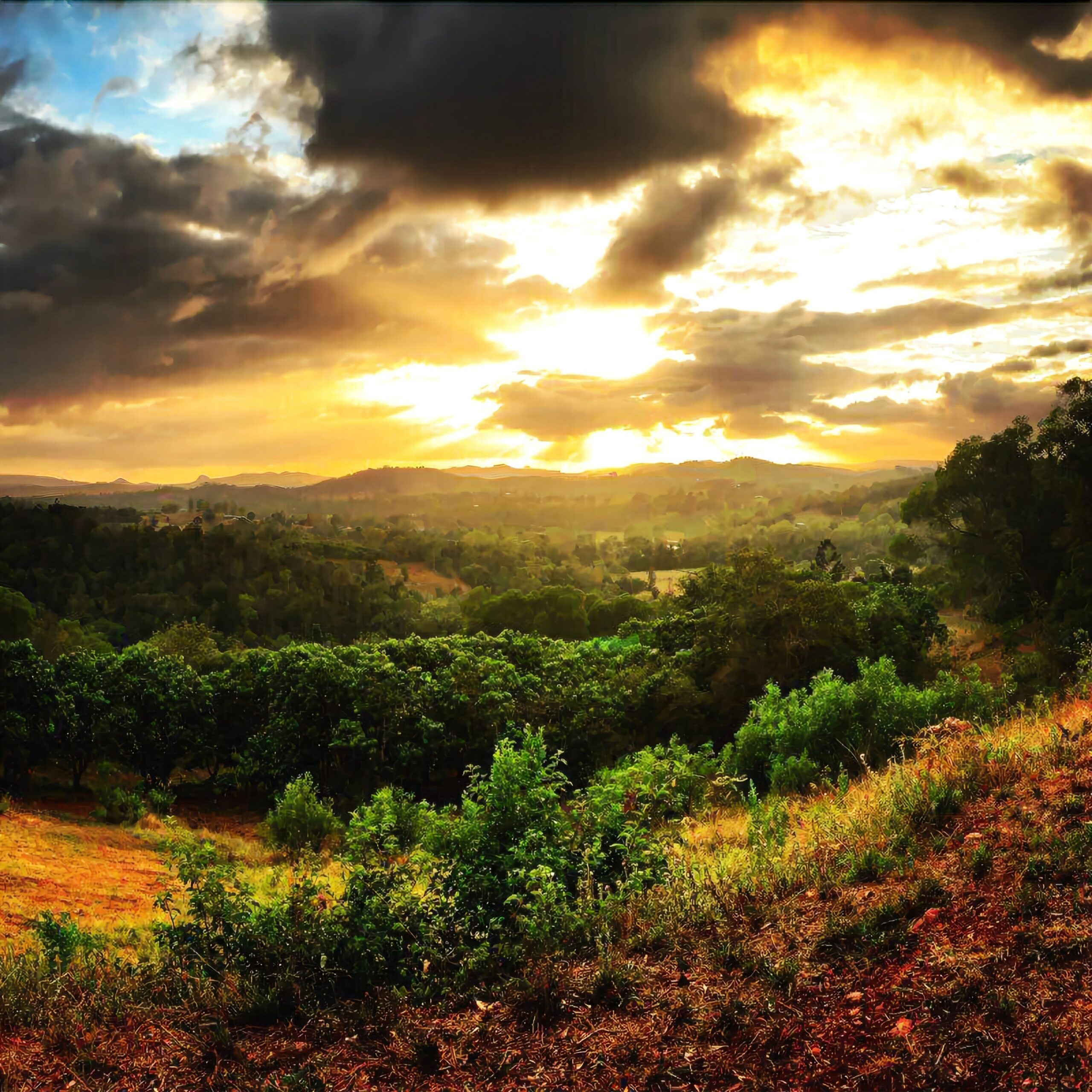 Stonehouse Farm – Glamping