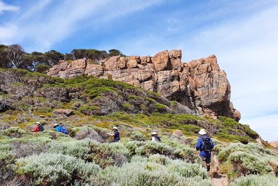Cape-to-Cape-walk-WA-3