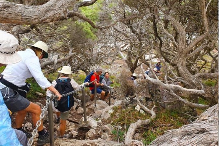 Cape-to-Cape-walk-WA-8