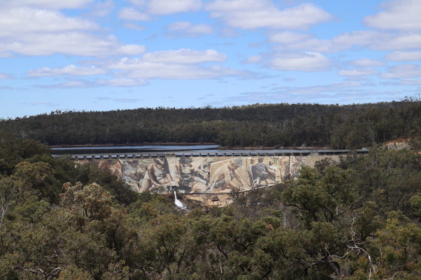 Wellington National Park Wildflower Wander: A Family-Friendly Adventure