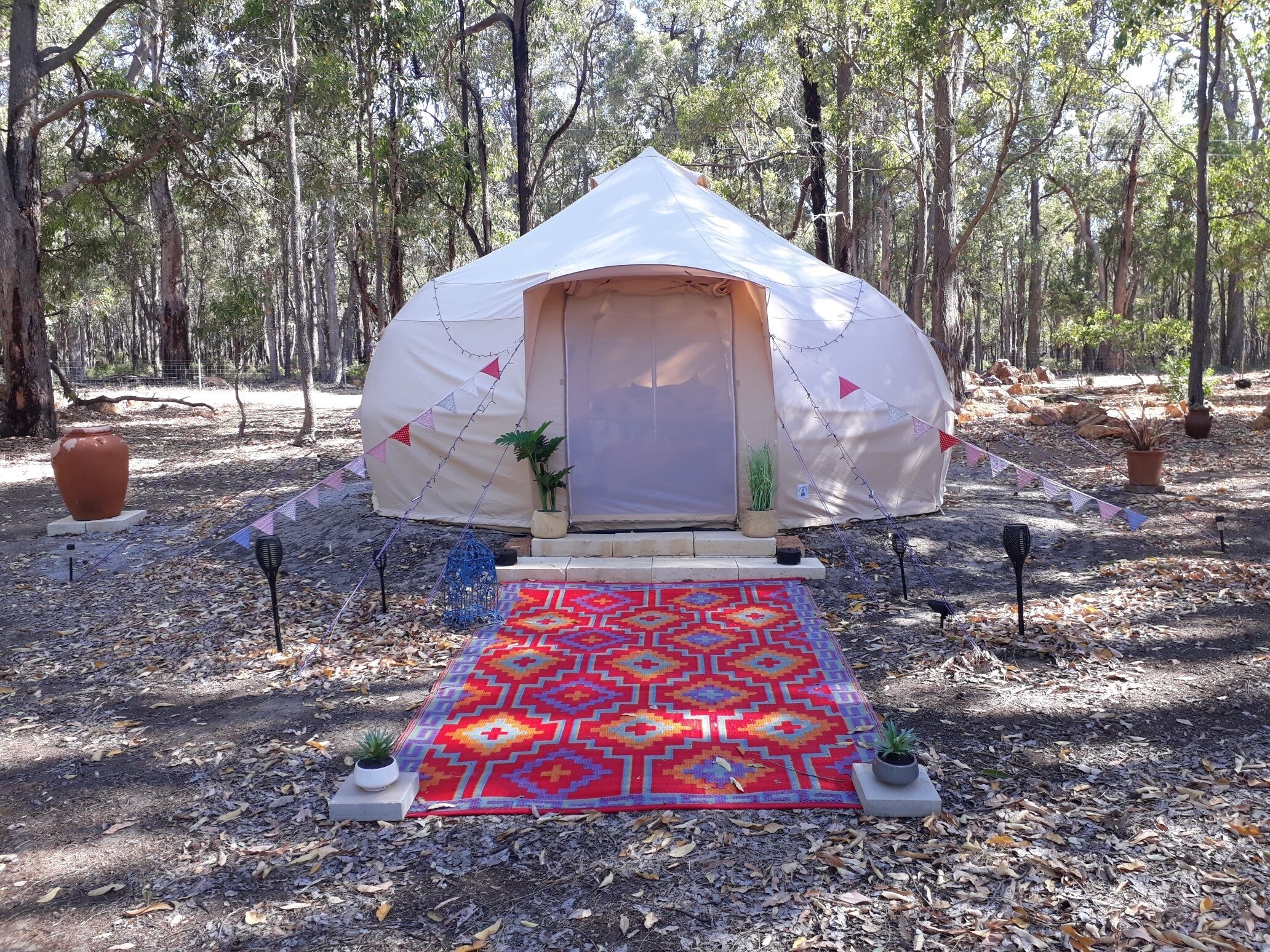 Eversprings Glamping – Eco Retreat – Mirkwood