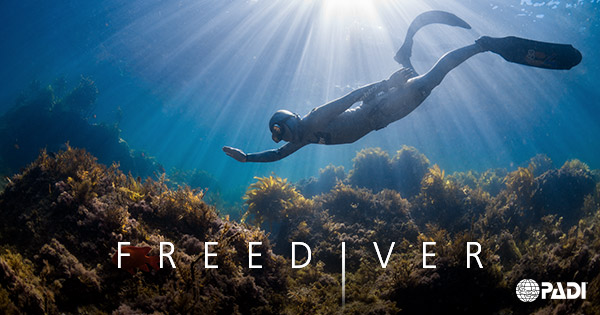 1-Day PADI Basic Freediver Course (Lakes Entrance VIC)