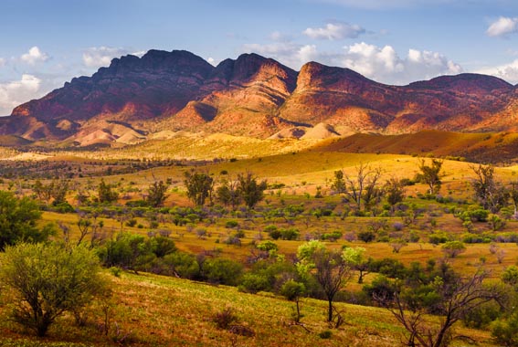 Flinders-ranges-walk-15