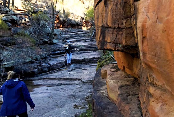 Flinders-ranges-walk-19