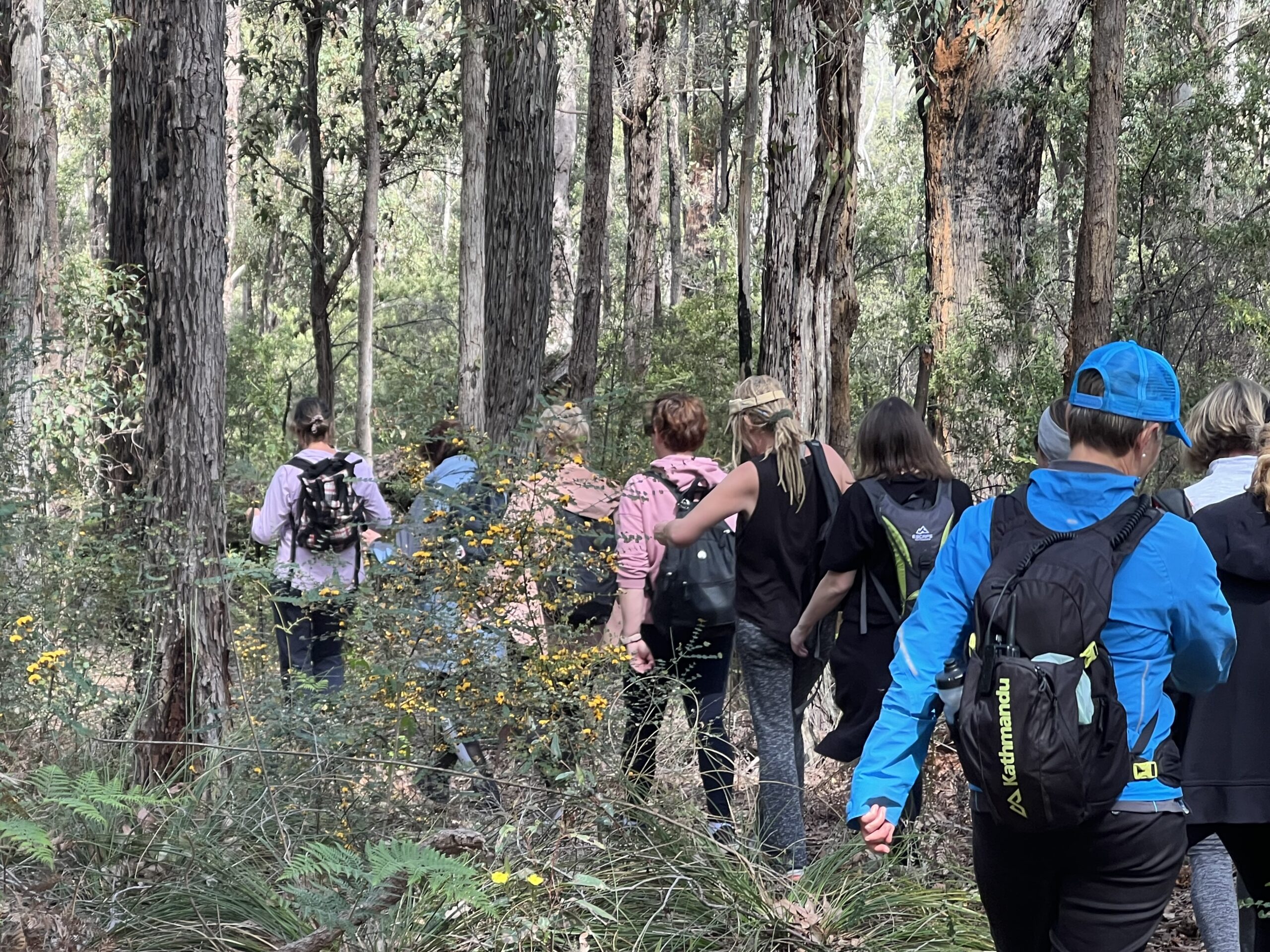 Jabitj Trail Wellington National Park