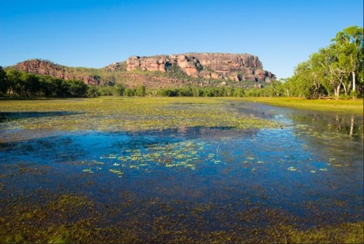 Kakadu-guided-walking-holiday-Northern-Territory-8