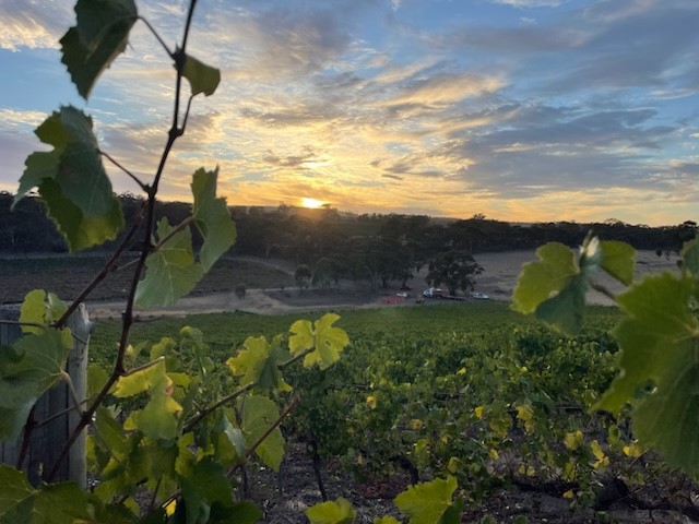 A Day of Discovery – An Exclusive Clare Valley Wine & Food Journey