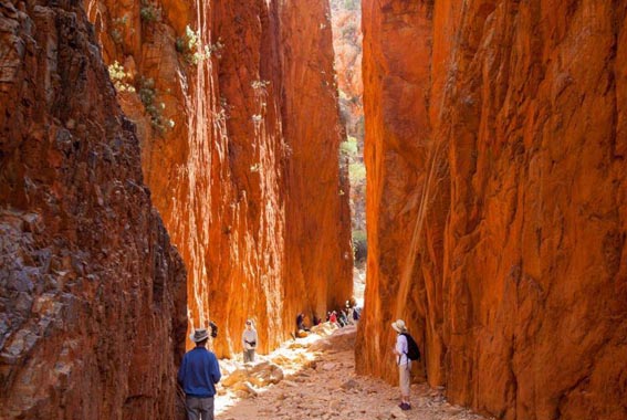 Larapinta-walk-Northern-Territory-10