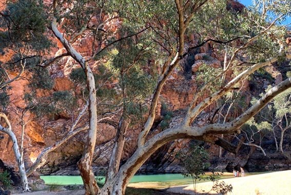 Larapinta-walk-Northern-Territory-14