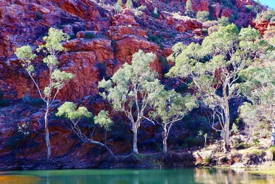 Larapinta-walk-Northern-Territory-9