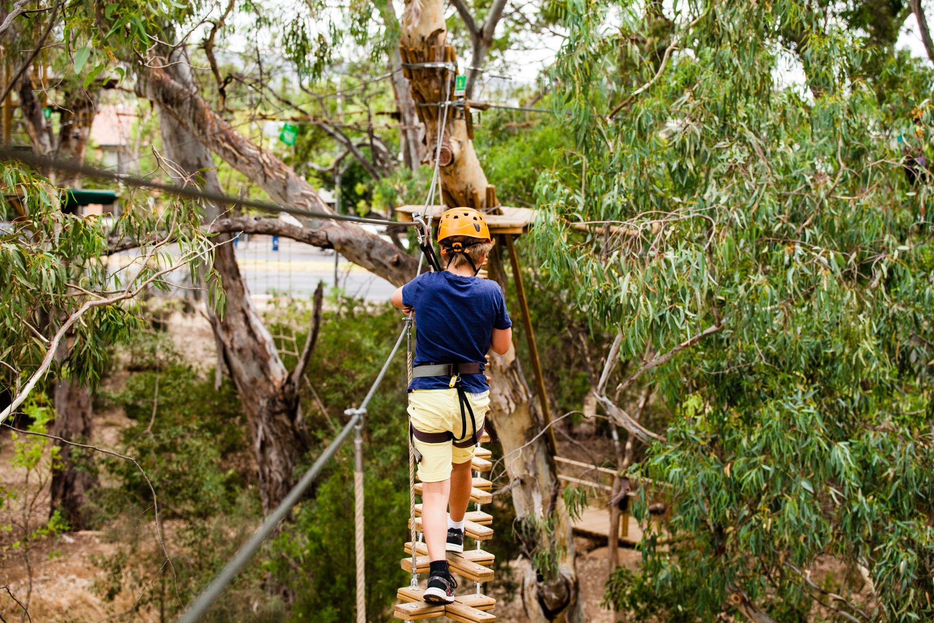 TreeClimb Grand Course